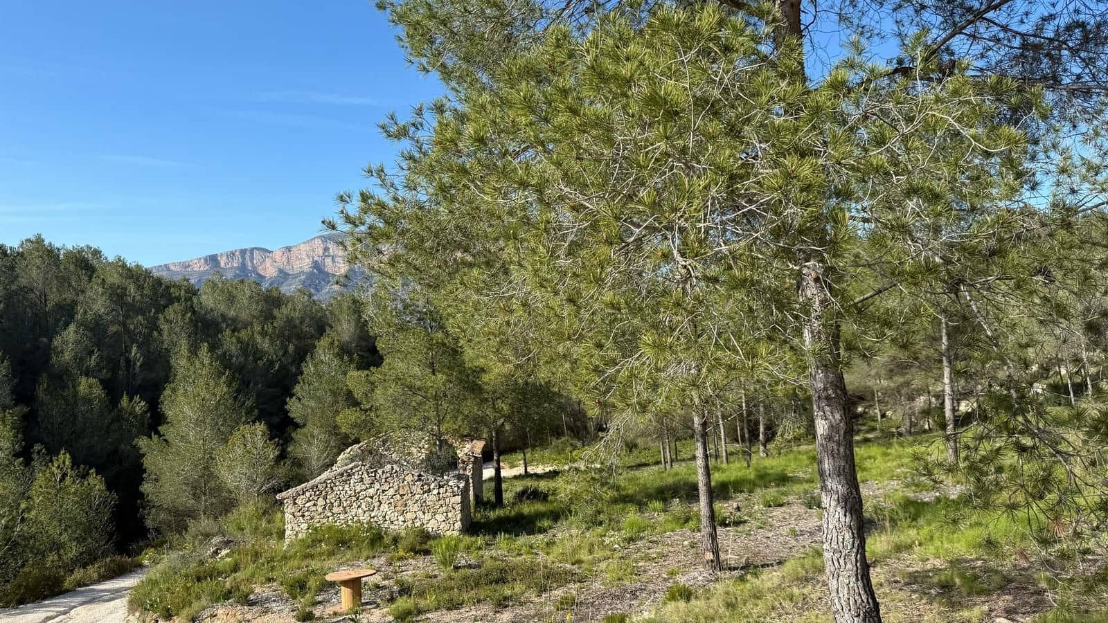 5 chambre Finca/Maison de Campagne à vendre à Javea / Xabia avec piscine garage - 1 550 000 € (Ref: 9974656)