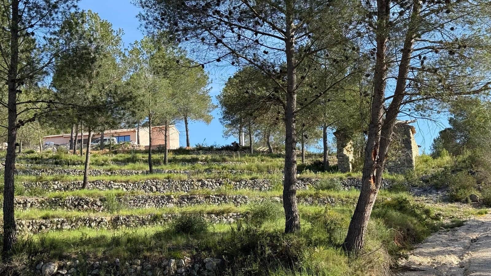 5 chambre Finca/Maison de Campagne à vendre à Javea / Xabia avec piscine garage - 1 550 000 € (Ref: 9974656)