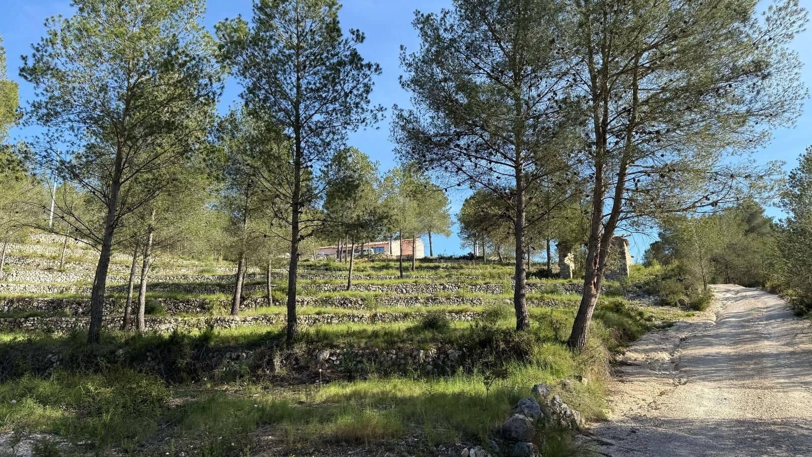 5 chambre Finca/Maison de Campagne à vendre à Javea / Xabia avec piscine garage - 1 550 000 € (Ref: 9974656)
