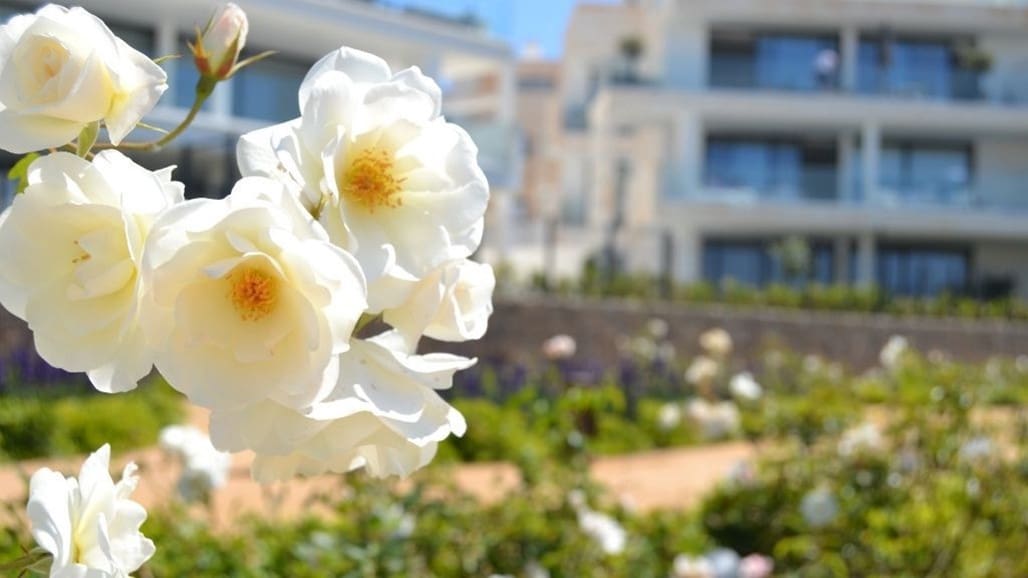 2 bedroom Apartment for sale in Fuengirola with pool garage - € 489,000 (Ref: 8997179)