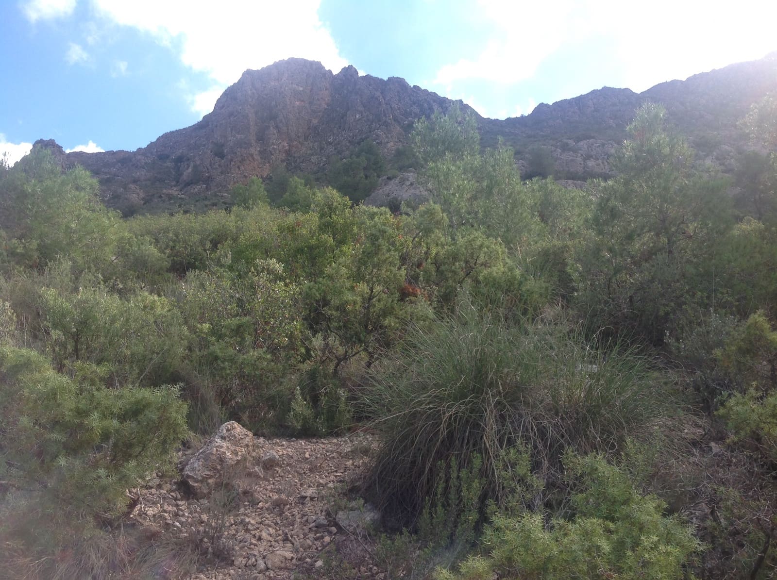 7 bedroom Finca/Country House for sale in Yecla - € 675,000 (Ref: 8765593)