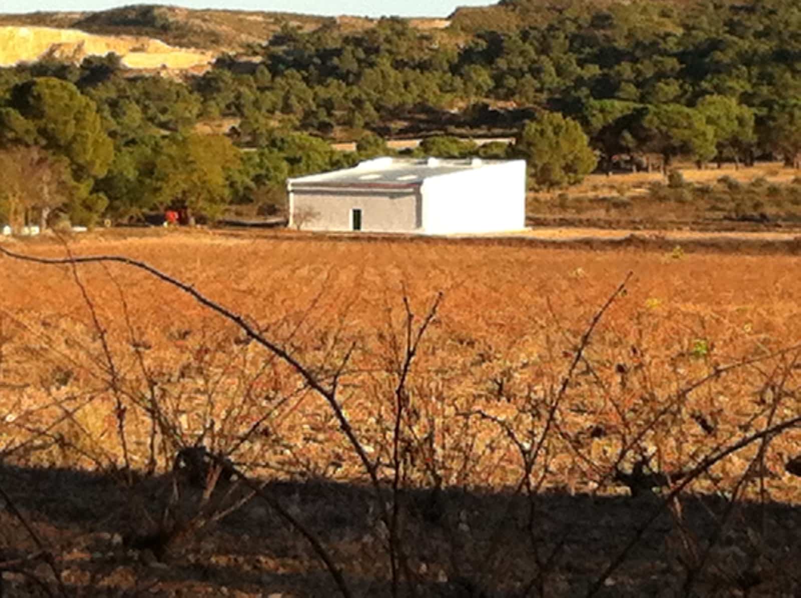 7 bedroom Finca/Country House for sale in Yecla - € 675,000 (Ref: 8765593)