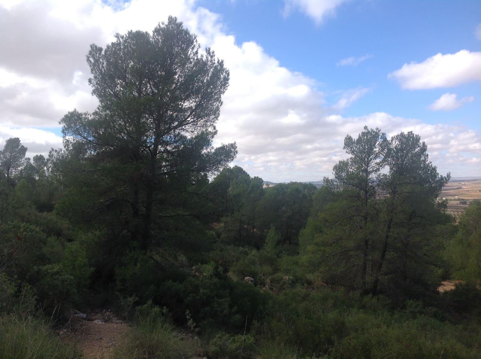 7 bedroom Finca/Country House for sale in Yecla - € 675,000 (Ref: 8765593)