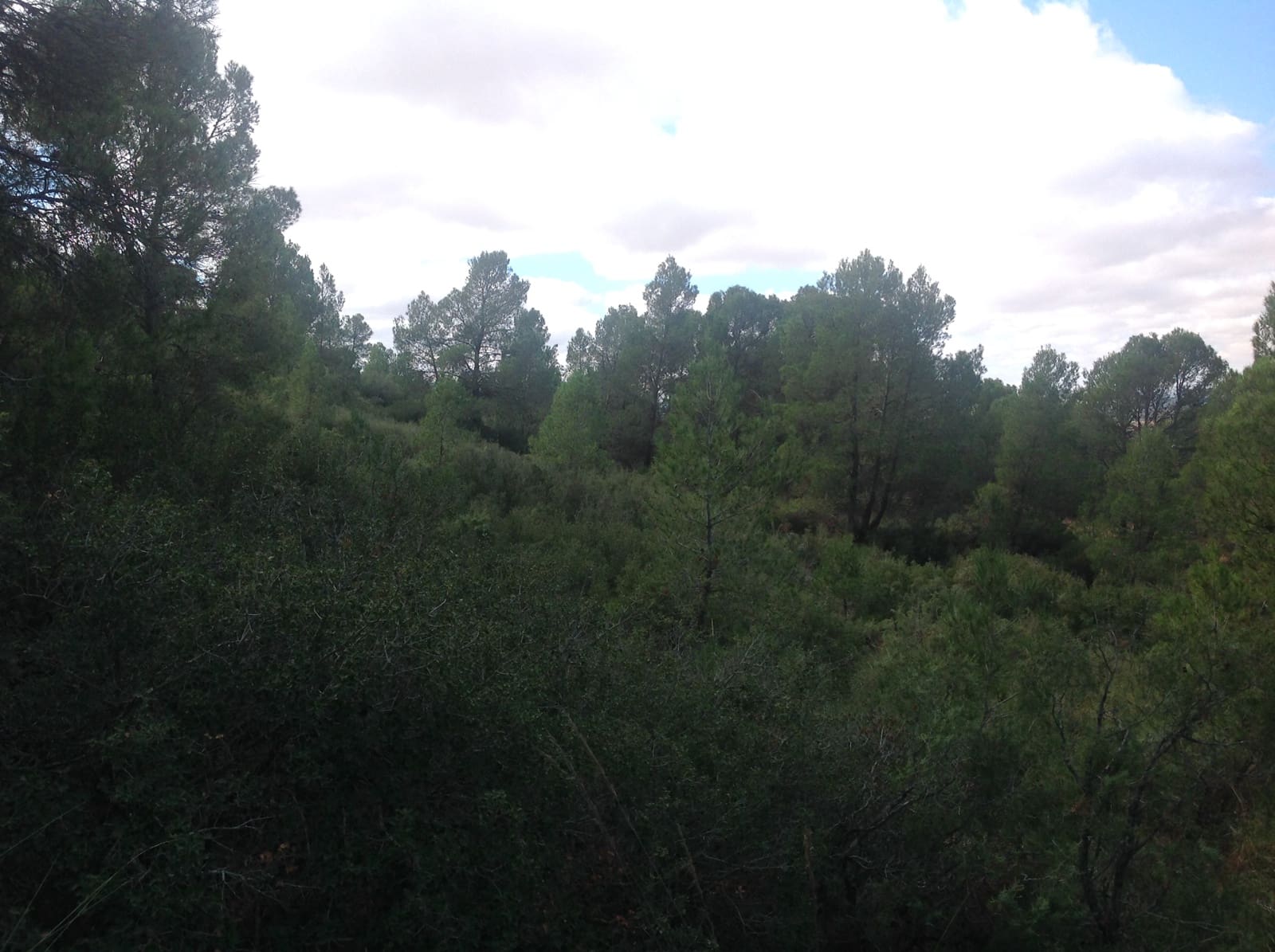 7 bedroom Finca/Country House for sale in Yecla - € 675,000 (Ref: 8765593)