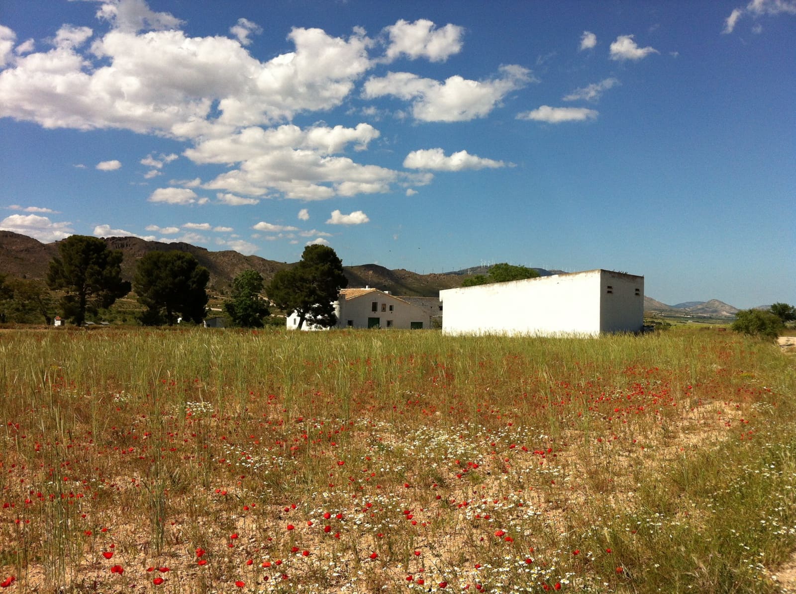 7 bedroom Finca/Country House for sale in Yecla - € 675,000 (Ref: 8765593)