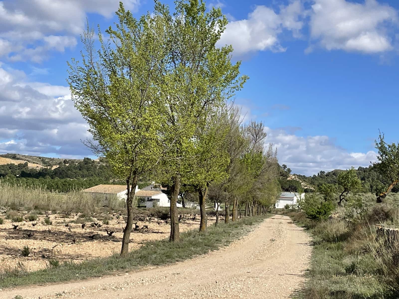 7 bedroom Finca/Country House for sale in Yecla - € 675,000 (Ref: 8765593)