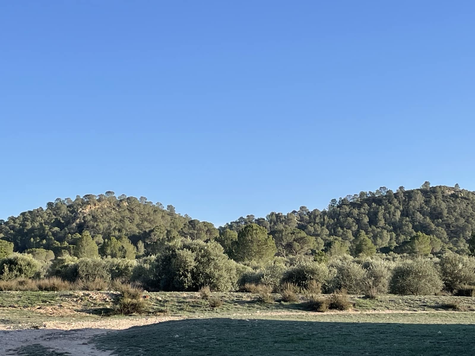 7 bedroom Finca/Country House for sale in Yecla - € 675,000 (Ref: 8765593)