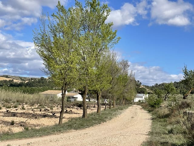 7 sovrum Finca/Hus på landet till salu i Yecla - 675 000 € (Ref: 8765593)