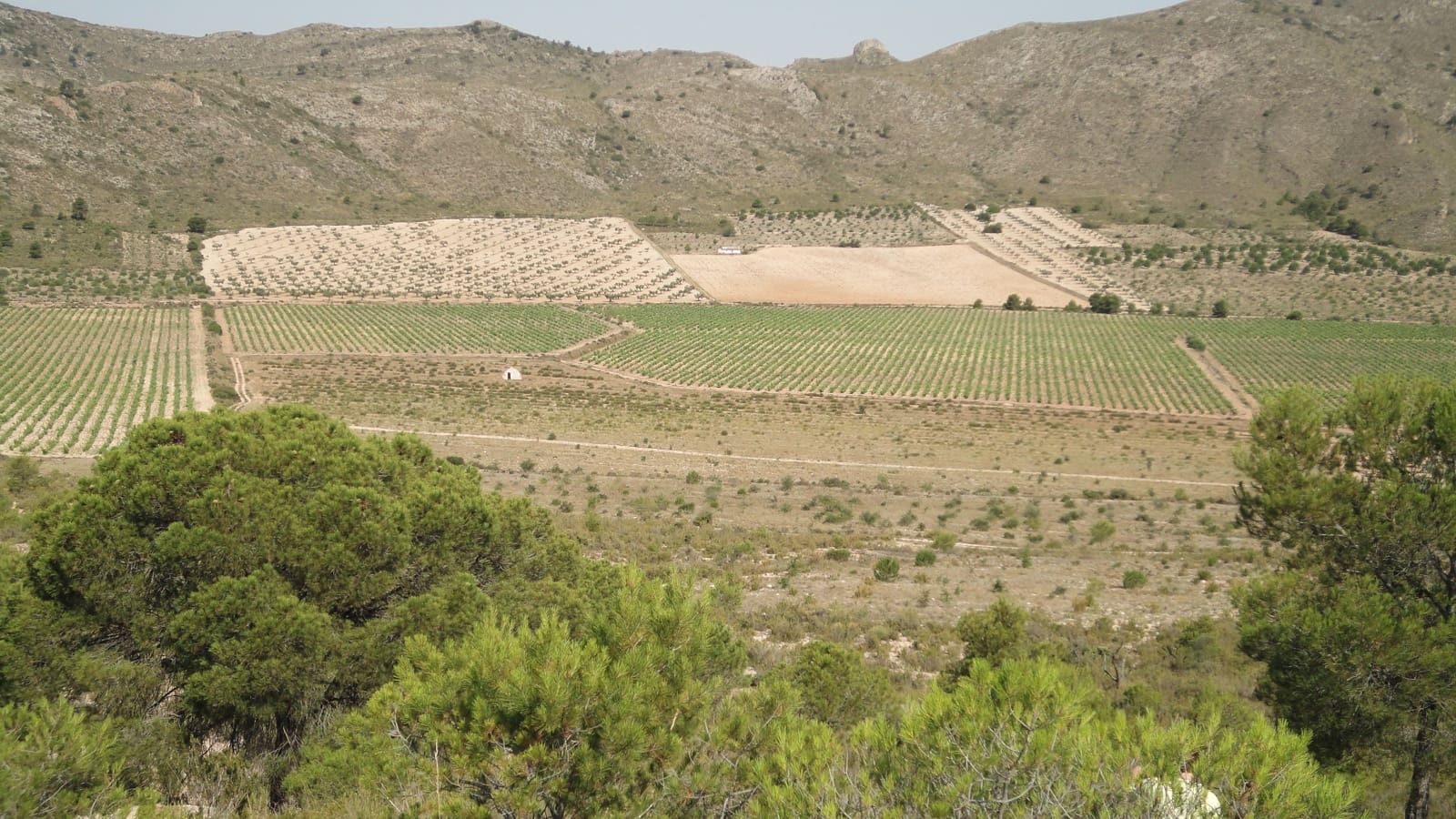 7 bedroom Finca/Country House for sale in Yecla - € 675,000 (Ref: 8765593)