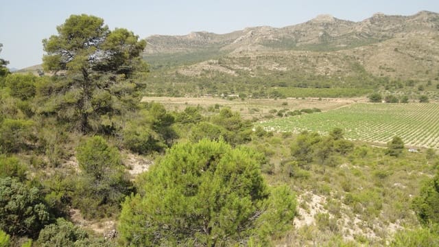 7 sovrum Finca/Hus på landet till salu i Yecla - 675 000 € (Ref: 8765593)