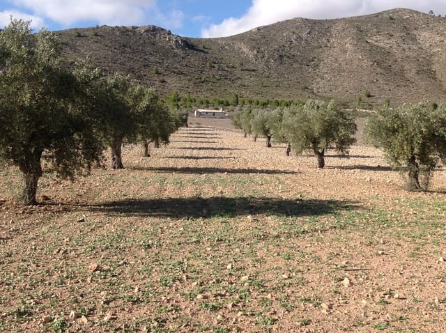 7 sovrum Finca/Hus på landet till salu i Yecla - 675 000 € (Ref: 8765593)