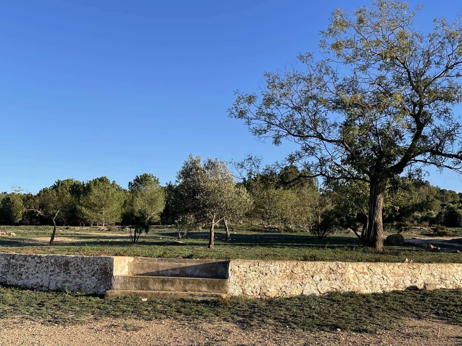 7 bedroom Finca/Country House for sale in Yecla - € 675,000 (Ref: 8765593)