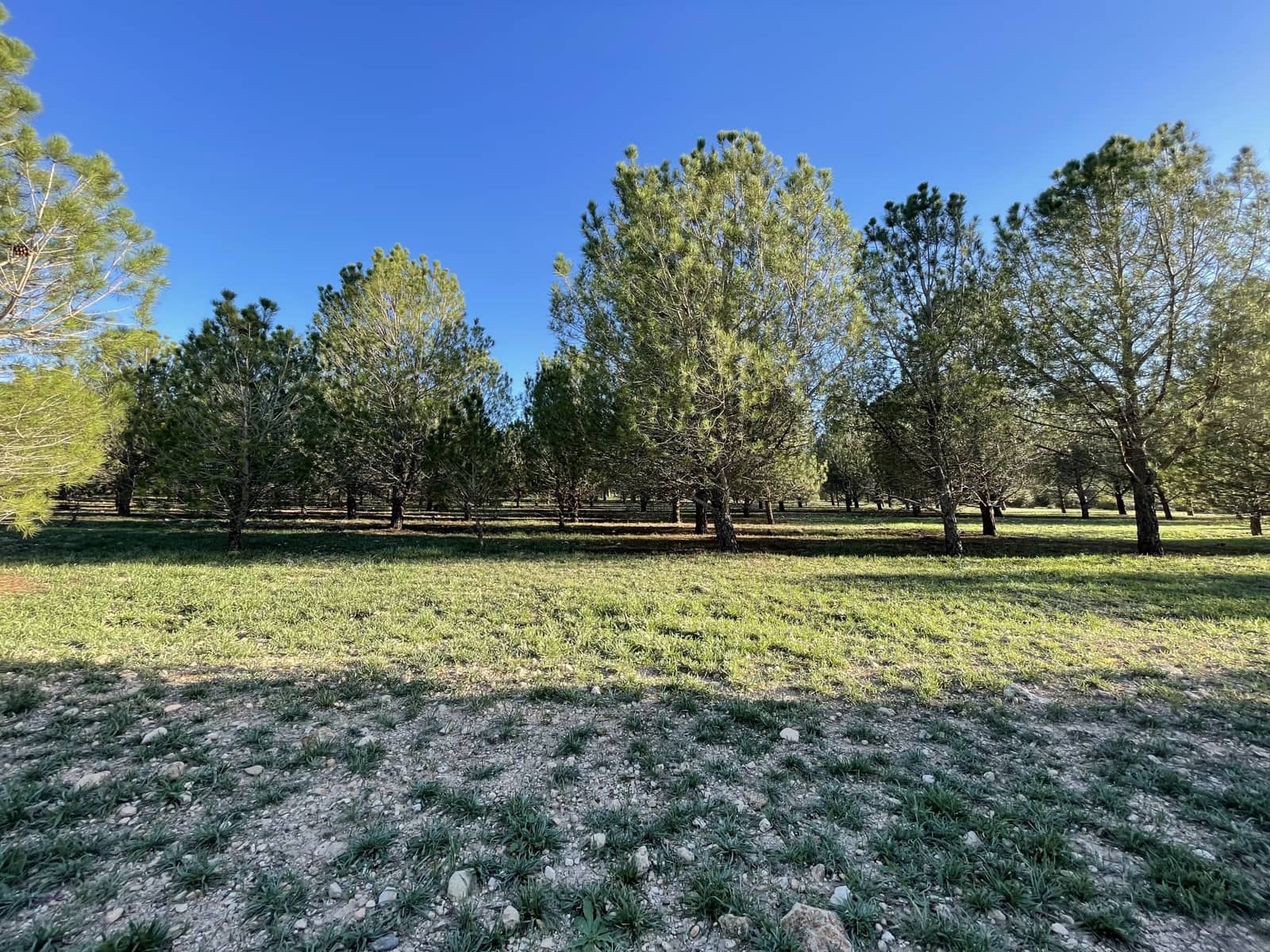 7 bedroom Finca/Country House for sale in Yecla - € 675,000 (Ref: 8765593)