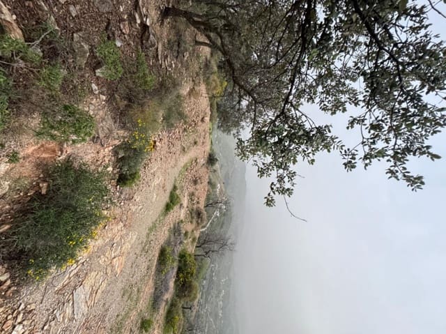 Area Edificabile in vendita in Coín - 50.000 € (Rif: 8952659)