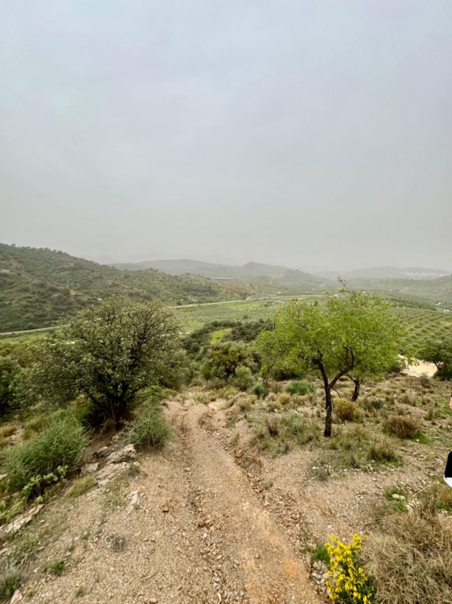 Terreno para Construção para venda em Coin - 50 000 € (Ref: 8952659)