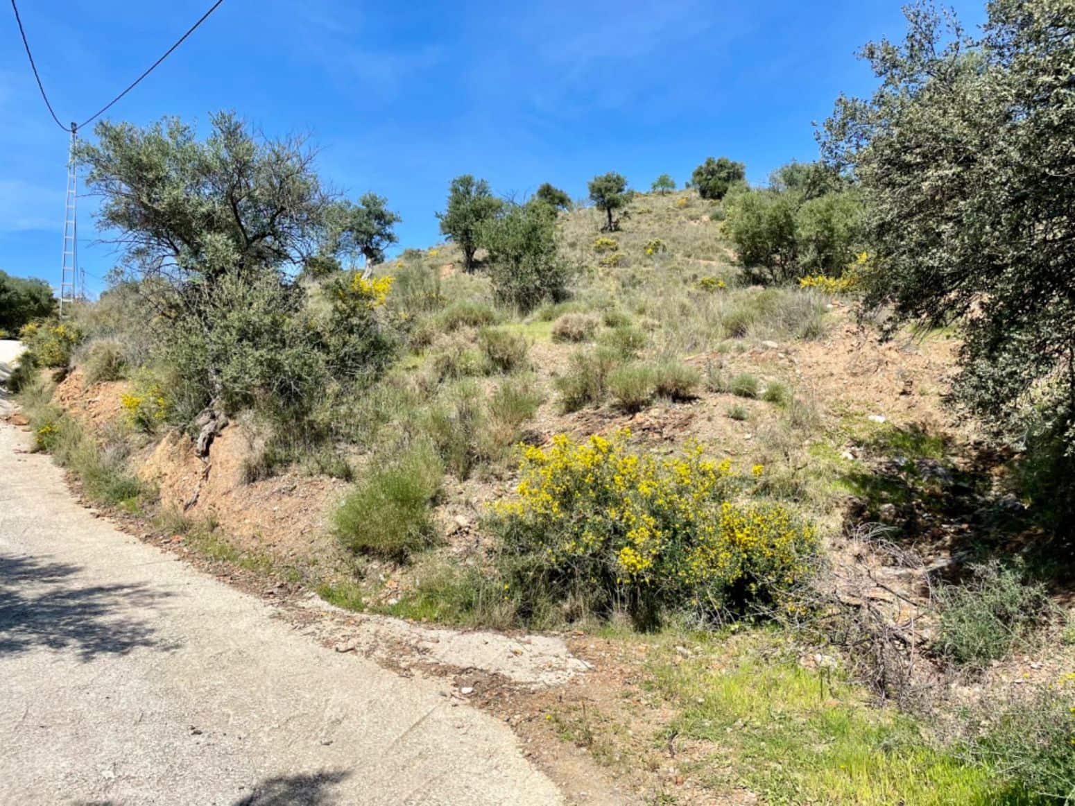 Terreno para Construção para venda em Coin - 50 000 € (Ref: 8952659)