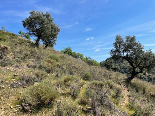 Area Edificabile in vendita in Coín - 50.000 € (Rif: 8952659)