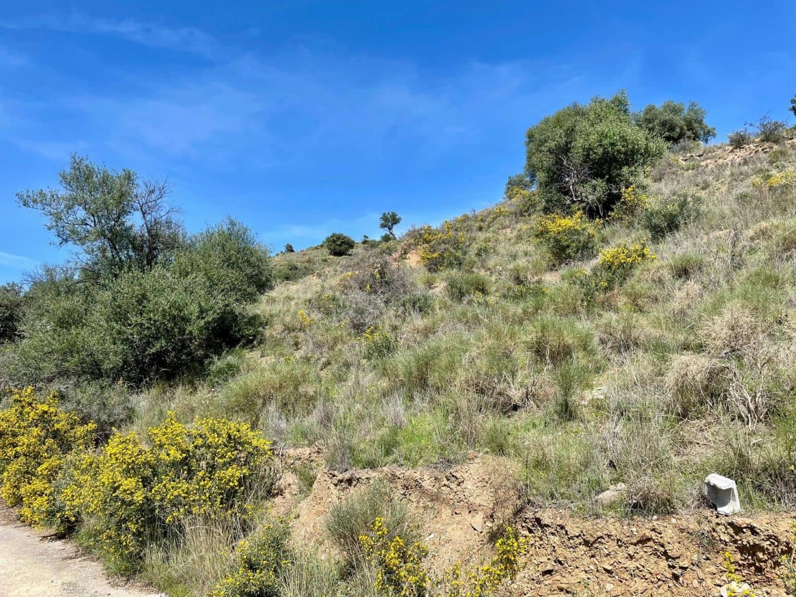 Terreno para Construção para venda em Coin - 50 000 € (Ref: 8952659)