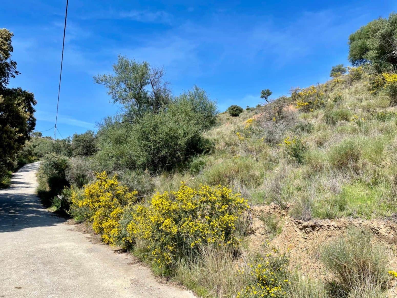 Działka budowlana na sprzedaż w Coin - 50 000 € (Ref: 8952659)