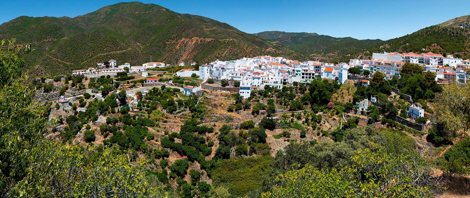 3 bedroom Terraced Villa for sale in Istan with pool - € 620,000 (Ref: 9468853)