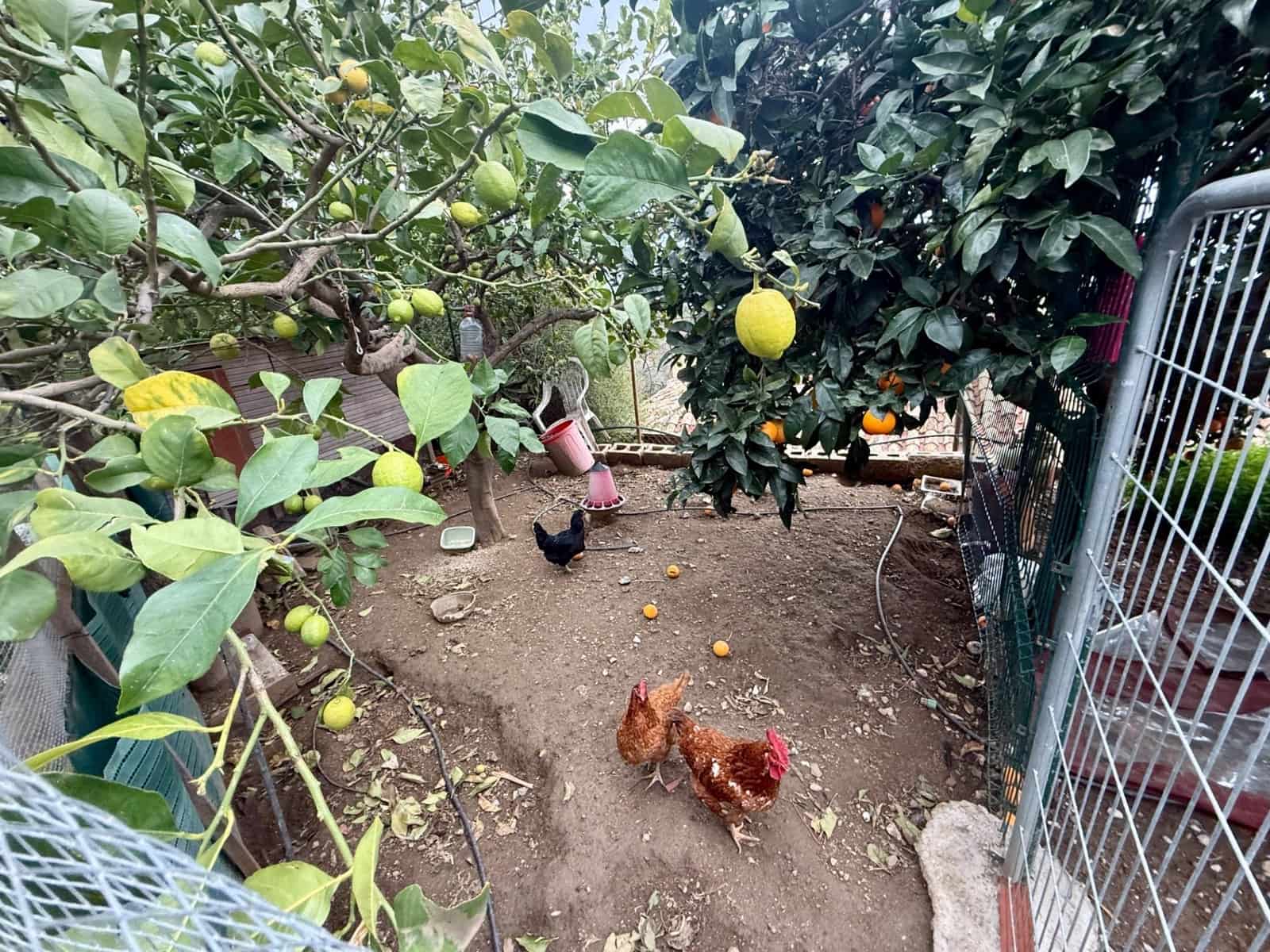 Finca/Casa Rural de 3 habitaciones en Mijas en venta con piscina - 264.000 € (Ref: 9543753)