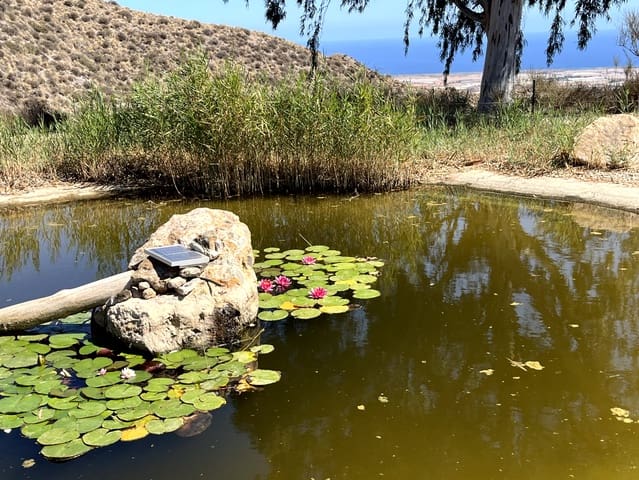 Finca/Casa Rural de 11 habitaciones en Aguilas en venta con piscina garaje - 790.000 € (Ref: 8776954)