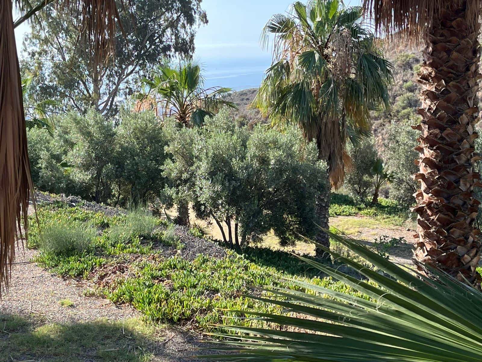 11 soveværelse Finca/Landehus til salg i Aguilas med swimmingpool garage - € 790.000 (Ref: 8776954)