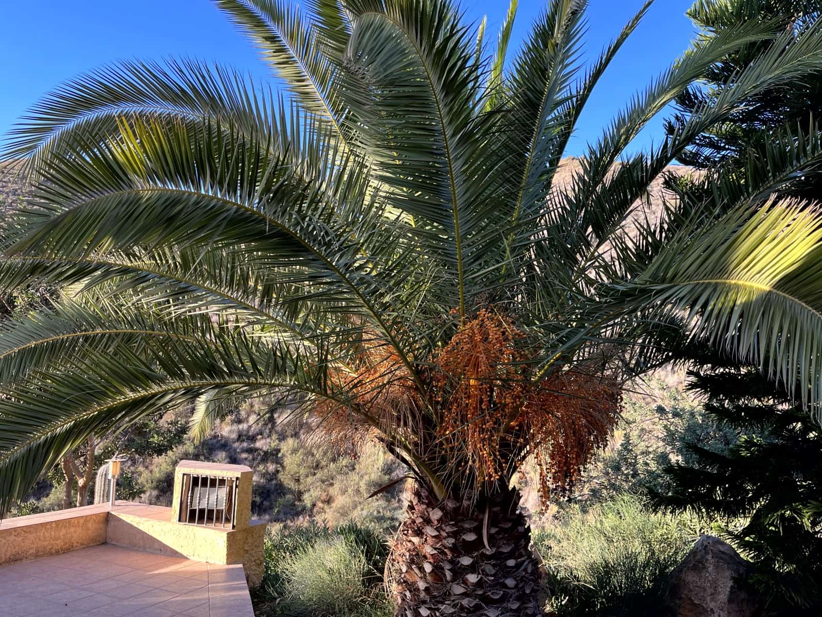 11 soveværelse Finca/Landehus til salg i Aguilas med swimmingpool garage - € 790.000 (Ref: 8776954)