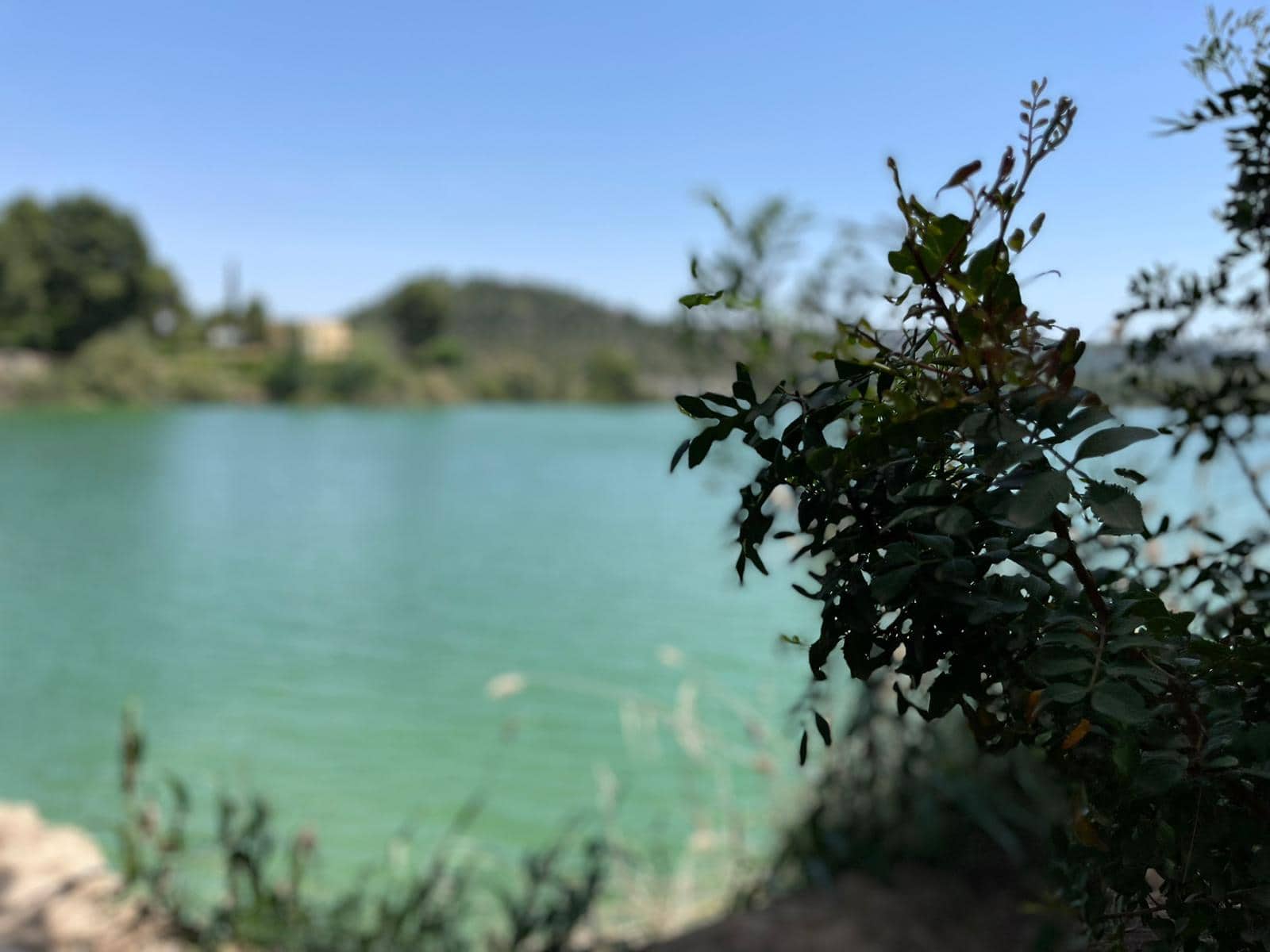 3 soveværelse Villa til salg i Calasparra med swimmingpool garage - € 285.000 (Ref: 9003641)