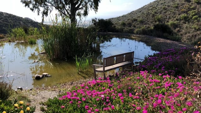 11 sypialnia Finka/Dom wiejski na sprzedaż w Los Collados - Los Geraneos, Aguilas z basenem garażem - 790 000 € (Ref: 9503362)