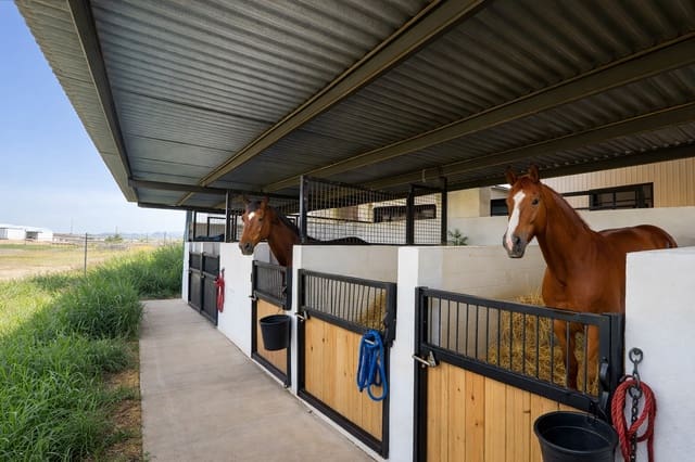 Teren niezagospodarowany na sprzedaż w Cuevas del Almanzora - 270 000 € (Ref: 9770054)