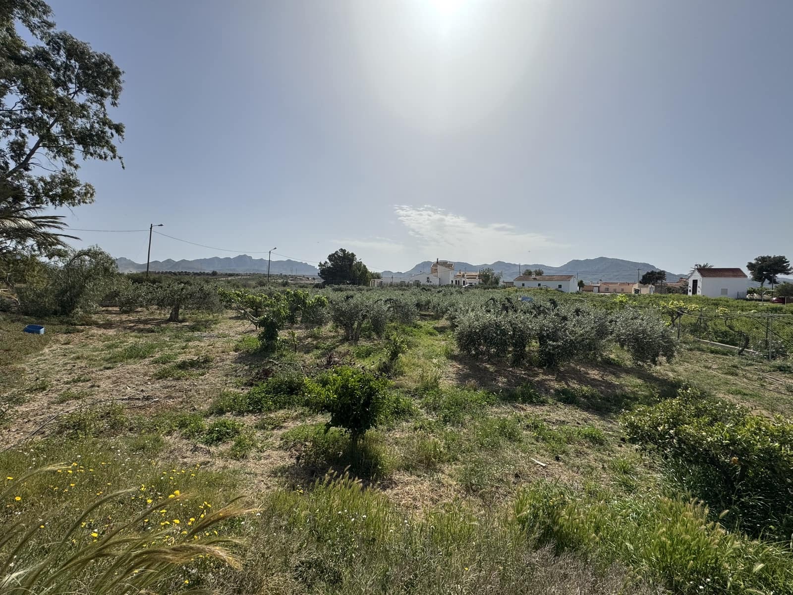 Mark till salu i Cuevas del Almanzora - 270 000 € (Ref: 9770054)