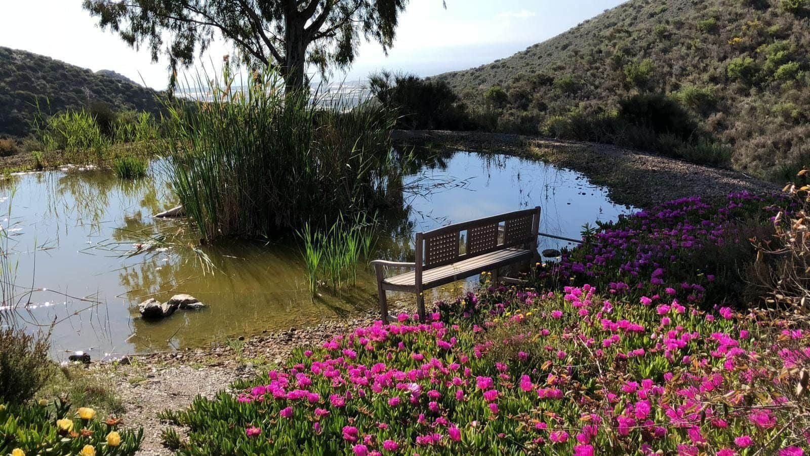11 bedroom Finca/Country House for sale in Aguilas with pool garage - € 695,000 (Ref: 9921358)