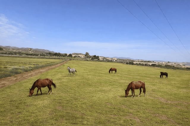 5 soveværelse Finca/Landehus til salg i Pulpí med garage - € 270.000 (Ref: 9921364)