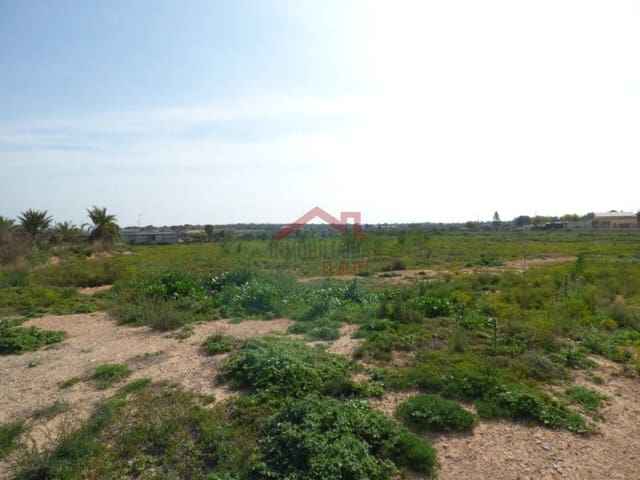 Finka/Dom wiejski na sprzedaż w Torrellano, Elche / Elx - 494 000 € (Ref: 8782332)