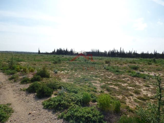 Finka/Dom wiejski na sprzedaż w Torrellano, Elche / Elx - 494 000 € (Ref: 8782332)