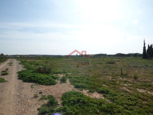 Finka/Dom wiejski na sprzedaż w Torrellano, Elche / Elx - 494 000 € (Ref: 8782332)