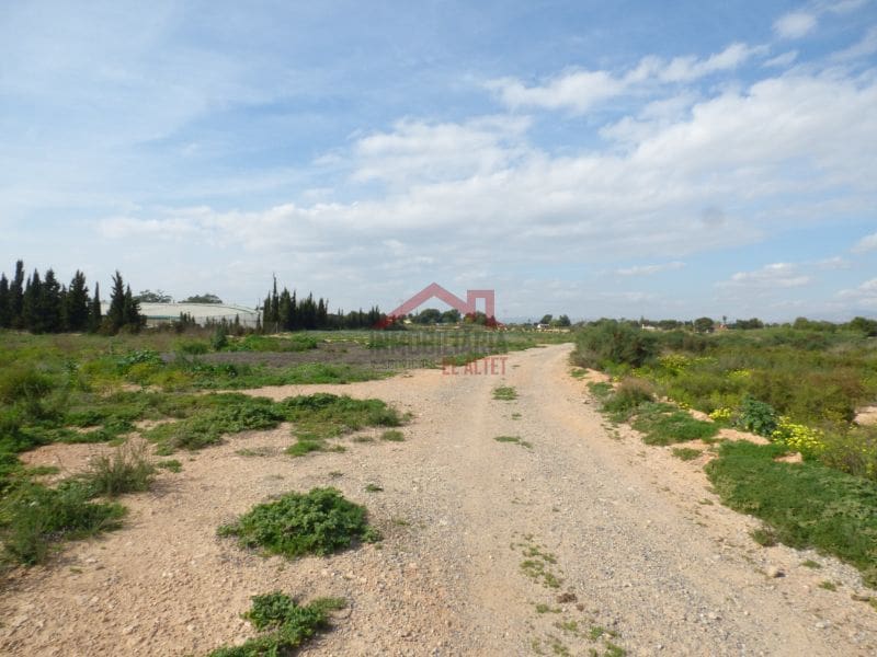 Finca/Landehus til salg i Torrellano - € 494.000 (Ref: 8782332)