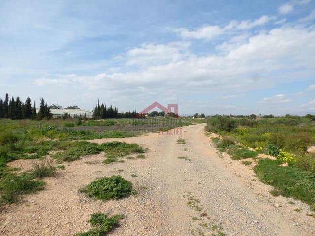 Finka/Dom wiejski na sprzedaż w Torrellano, Elche / Elx - 494 000 € (Ref: 8782332)