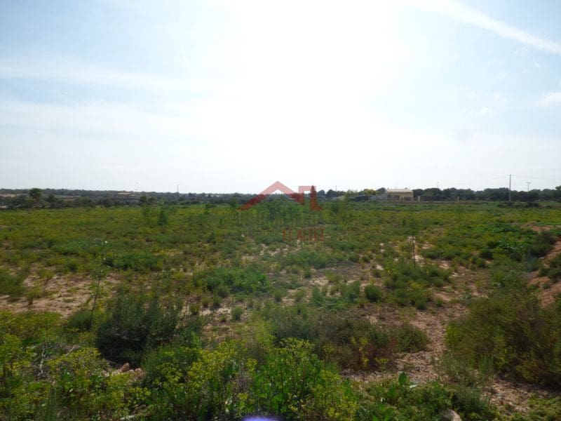 Finca/Landehus til salg i Torrellano - € 494.000 (Ref: 8782332)