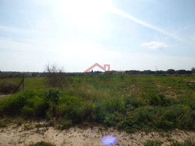 Finka/Dom wiejski na sprzedaż w Torrellano, Elche / Elx - 494 000 € (Ref: 8782332)