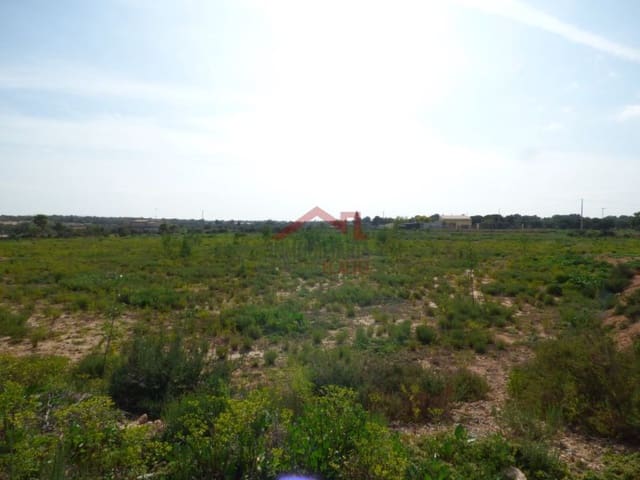 Finka/Dom wiejski na sprzedaż w Torrellano, Elche / Elx - 494 000 € (Ref: 8782332)