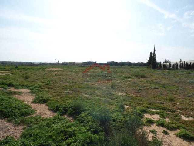 Finka/Dom wiejski na sprzedaż w Torrellano, Elche / Elx - 494 000 € (Ref: 8782332)