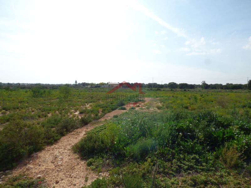 Finca/Landehus til salg i Torrellano - € 494.000 (Ref: 8782332)