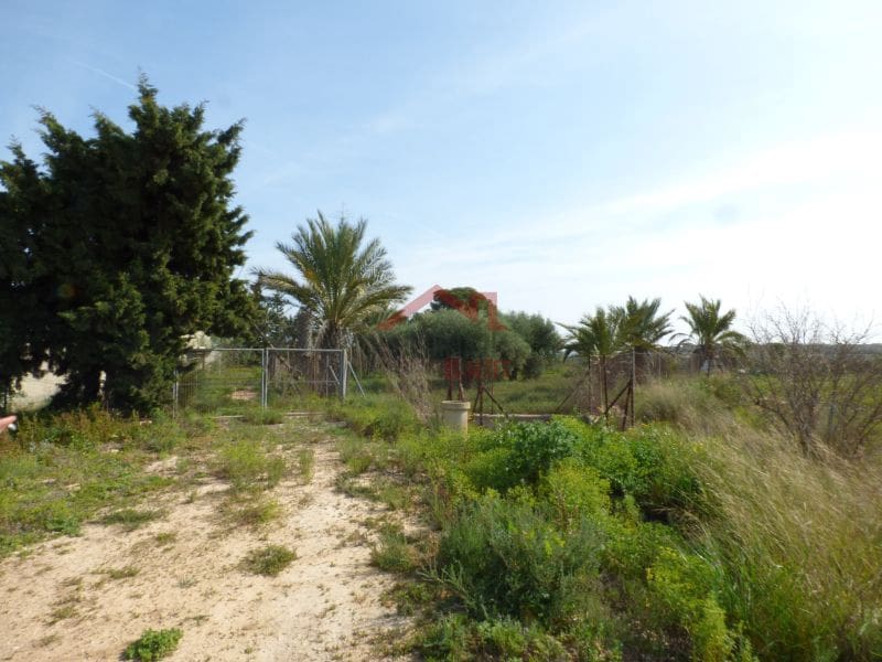 Finca/Landehus til salg i Torrellano - € 494.000 (Ref: 8782332)