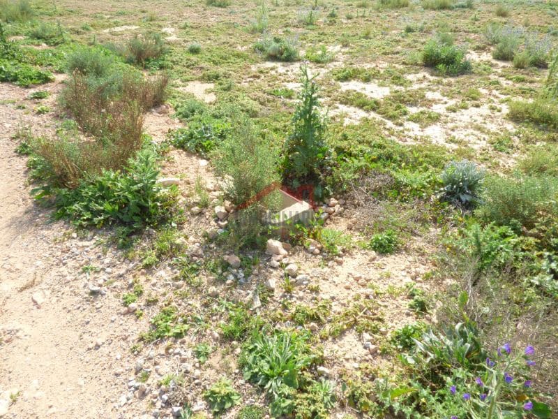 Finca/Landehus til salg i Torrellano - € 494.000 (Ref: 8782332)