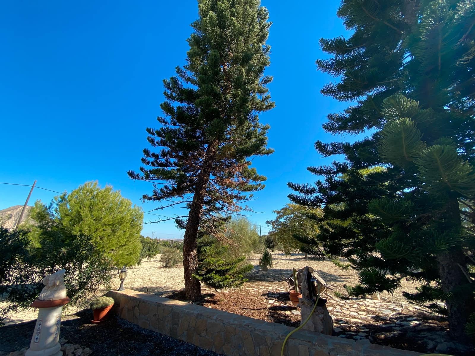 5 Zimmer Villa zu verkaufen in Alicante / Alacant Stadt - 525.000 € (Ref: 8782339)