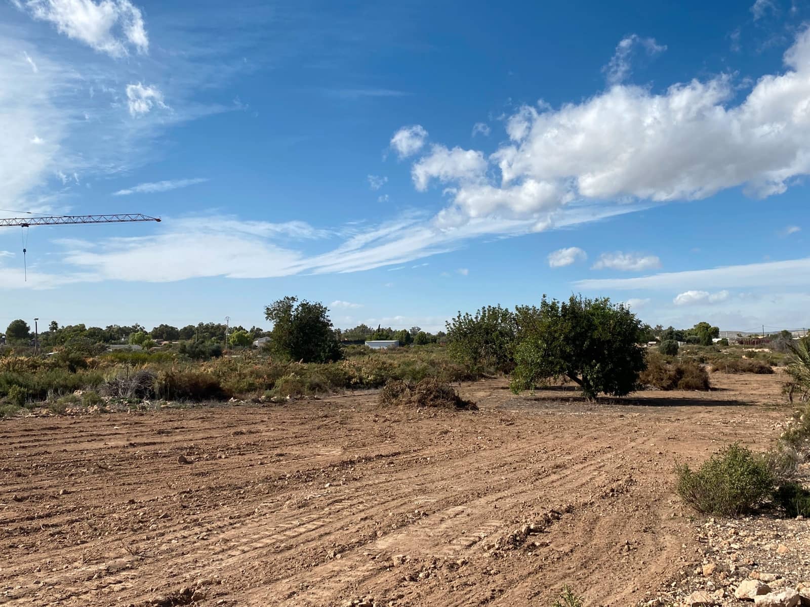 Undeveloped Land for sale in Elche / Elx - € 40,000 (Ref: 8782342)