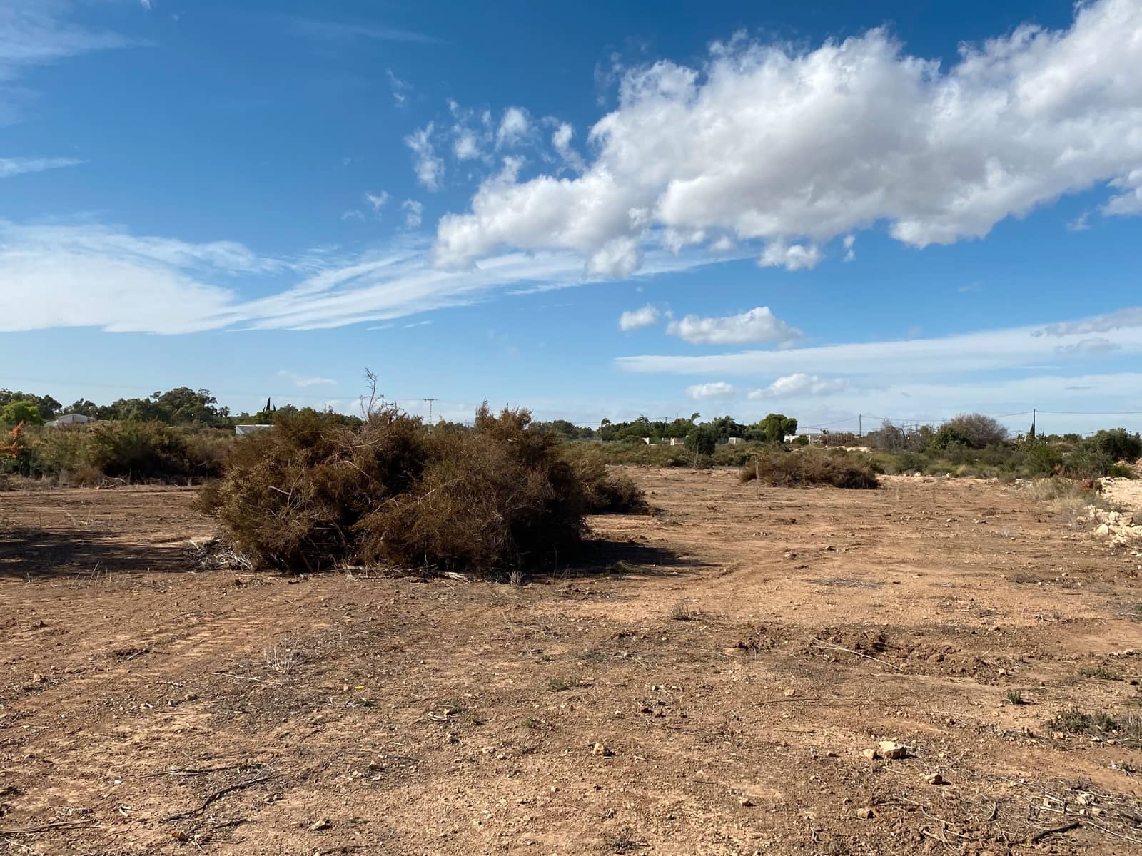 Undeveloped Land for sale in Elche / Elx - € 40,000 (Ref: 8782342)