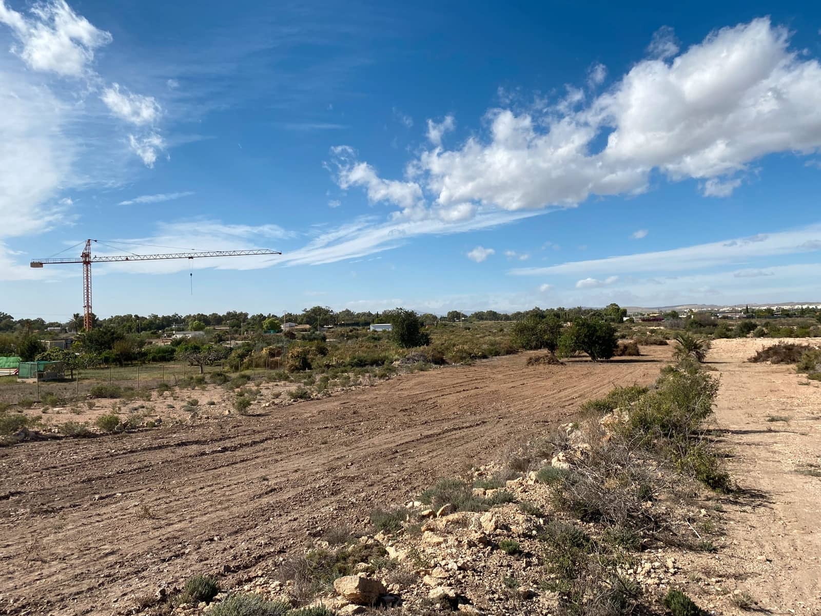 Undeveloped Land for sale in Elche / Elx - € 40,000 (Ref: 8782342)